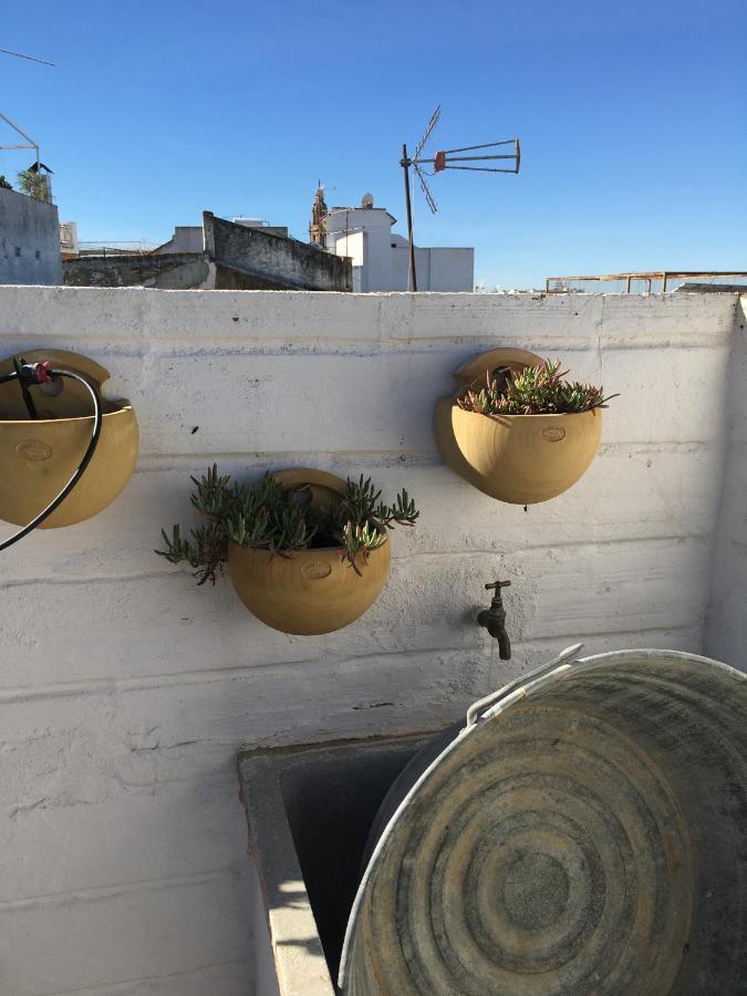 Casa Leon Blanco Carmona Reformada Centrica Con Chimenea Y Terraza Con Vistas 빌라 외부 사진