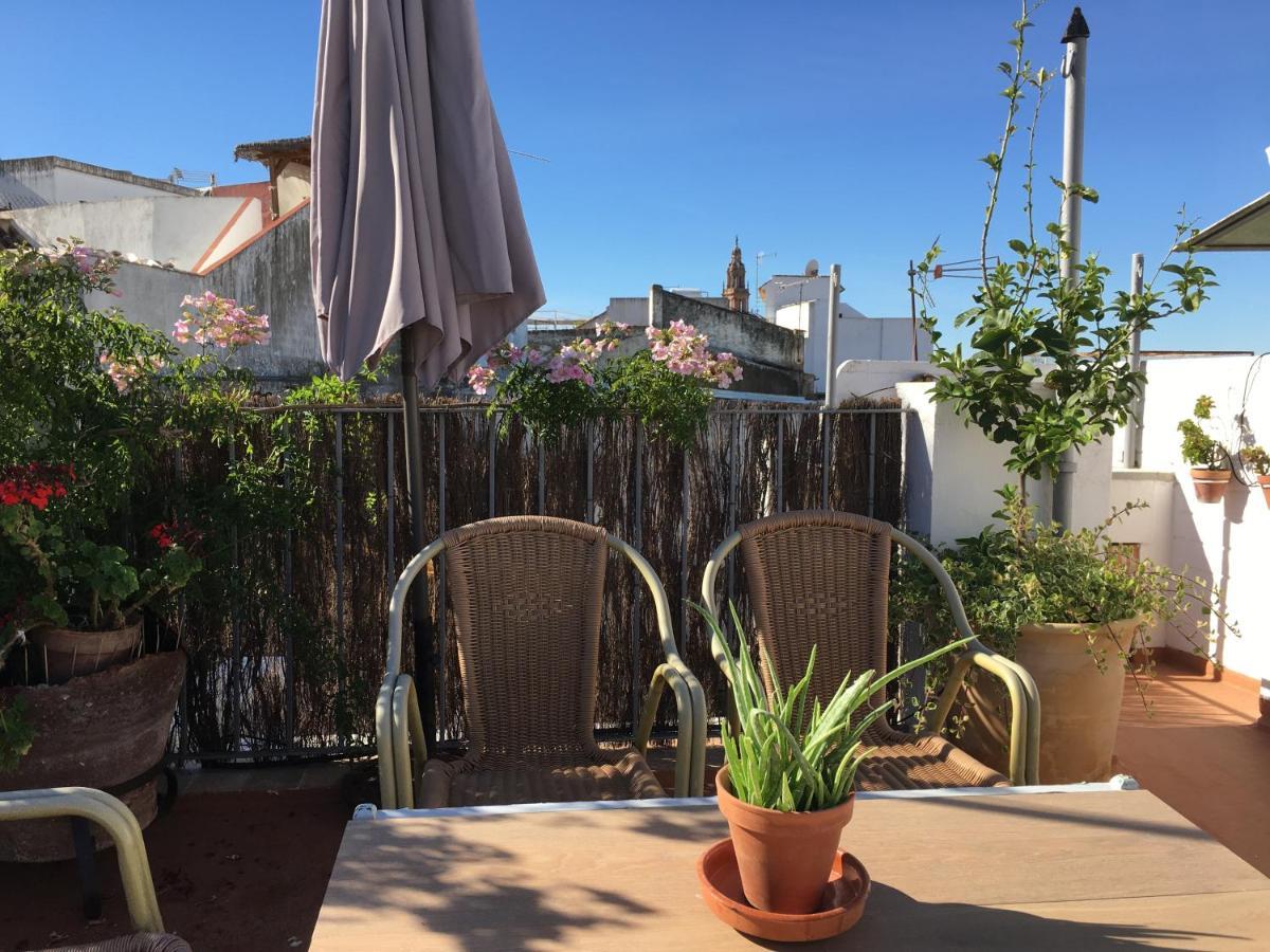 Casa Leon Blanco Carmona Reformada Centrica Con Chimenea Y Terraza Con Vistas 빌라 외부 사진